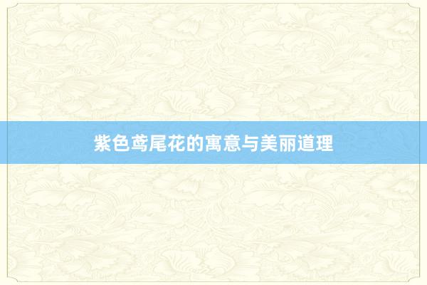 紫色鸢尾花的寓意与美丽道理